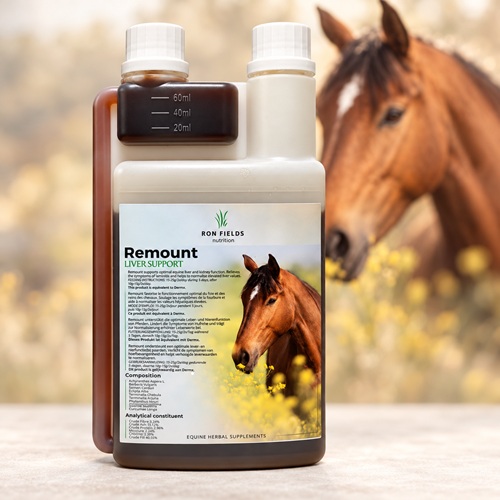 Remount – Natürliche ayurvedische Unterstützung für Pferde I 1l Flüssigkeit